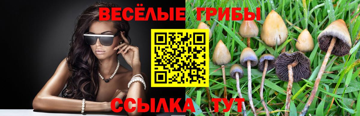 Псилоцибиновые грибы GOLDEN TEACHER Старая Купавна