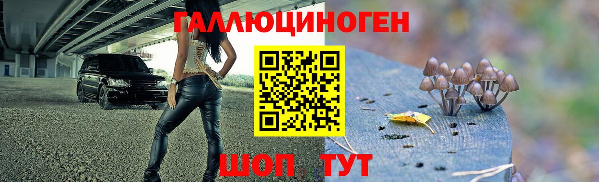 Галлюциногенные грибы прущие грибы  как найти   Старая Купавна  Вход с VPN 